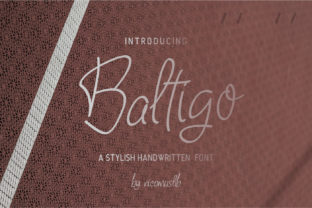 Baltigo: A Modern Script Font for Business