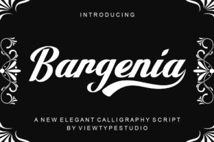 Bargenia: A Font for Business Style