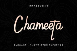 Chameeta: A Refined Script Font for Editorial Elegance