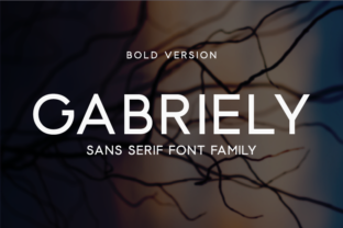 Gabriely Bold: A Font for Business Success