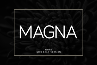 Magna Semi Bold: A Clean, Confident Sans Serif for Real Business Branding