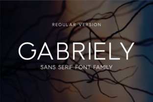 Modern Typography with Gabriely