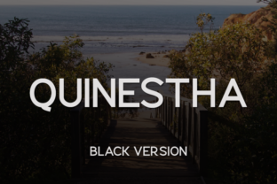 Quinestha Black: A Crisp, Confident Font for Small Business Branding