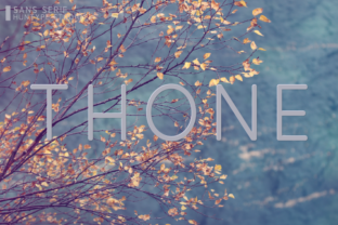 Thone: A Modern Sans Serif Font